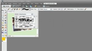 Total Training for Adobe Photoshop Elements 5  Ch 2 L4 Playing with Brushes