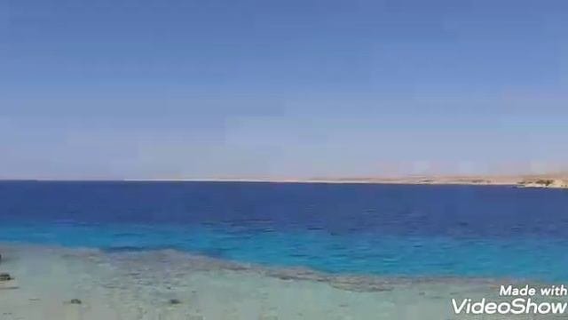 Дикий пляж в шарм эль шейхе