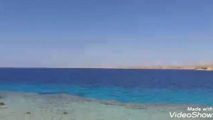 Дикий пляж в шарм эль шейхе