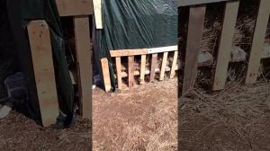 Бюджетная постройка сенника