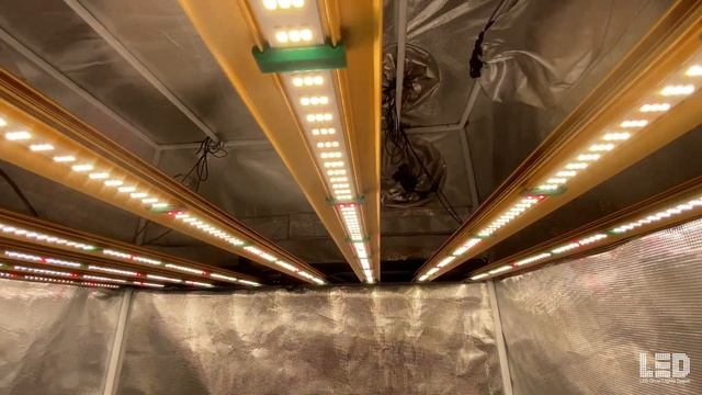 Best LED Grow Lights 2022 // 16 Lights For Your HOME or COMMERCIAL Grow!
