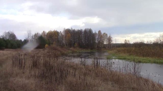 281 ХУДОЖНИК С ПЁСИКАМИ НА ЭТЮДАХ | ПОКОС ТРАВЫ С ДЫМКОМ |  ЗАКАТ КАК В СКАЗКЕ - ХУДОЖНИК В ДЕРЕВНЕ