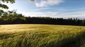 Медитация для расслабления