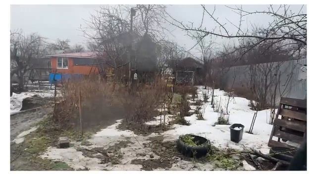 Дождливый март 2023 а у нас в теплице весна и урожай перца !!!! смотреть онлайн