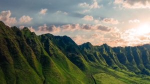 Rozalia - Ari (2022)