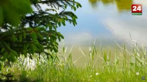 Беларусь. Кобрин