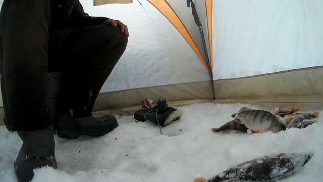 Рыбалка.крупный окунь на мормышку 3
