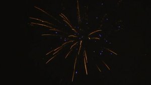 Свадебный фейерверк (1,0х120) (C 064)
