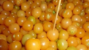 Заготовки из физалиса