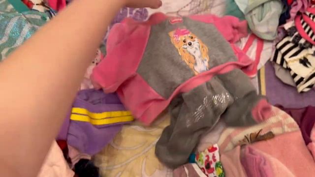 Вся одежда и обувь моей собаки + отзывы // Одежда для йоркширского терьера //PA, FPO, FMD и др фирм смотреть онлайн