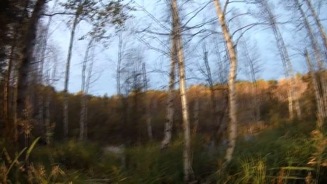 Охота на утку 2017 #1.Duck hunting 2017.Новая камера.Промахи.Мотоцикл для охоты. Осенний трофей. смотреть онлайн