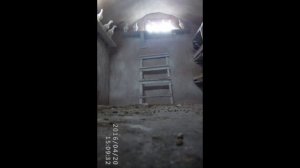 Шашка АНТИПАРАЗИТ. | Применение шашки с голубями