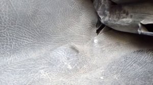 Ремонт Isuzu Giga CYZ