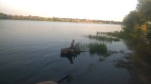 Фидер или или поплавок с кормушкой ? Что лучше работает на сильном течении и когда гонит траву ?