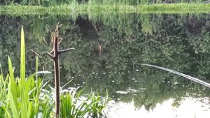 Прогноз клева рыбы на июнь с 13 по 19. Календарь рыбака на июнь. Лунный календарь клева рыбы 2022.