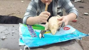 ощип и разделка чёрной утки для продажи! как будет выглядеть тушка?!!