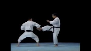 Сейенчин Бункай кумитэ