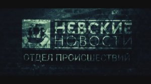 НЕВСКИЕ НОВОСТИ + МСБ