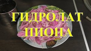 Как сделать гидролат из цветов пиона