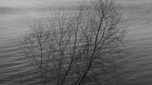 Разлилася, разлилась речка быстрая