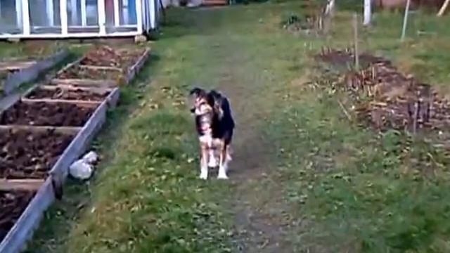 Ириска на даче 2 (ноябрь 2013 г.) смотреть онлайн