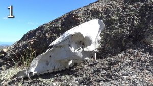 Хамар-Дабан / Август 2024 / Серия 1 / Чёртовы Ворота