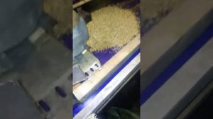 45 Свиней. Электро сито для зерна.