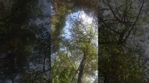 Я твоя дочь♥️