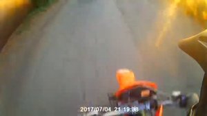 чуть не сбил Собаку
