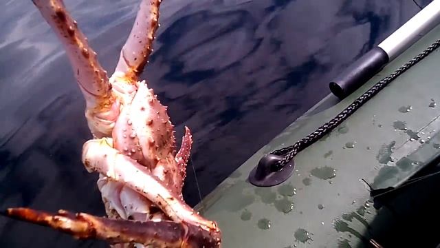 краб на спиннинг Смит смотреть онлайн