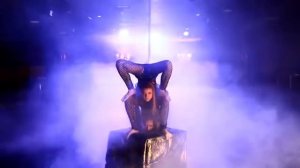 Эстрадно цирковое шоу