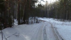 Долгая Старица (из-за близости с ней названа деревня)