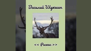 Василий Шукшин - Раскас