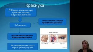 Акушерство 9.Внутриутробные инфекции