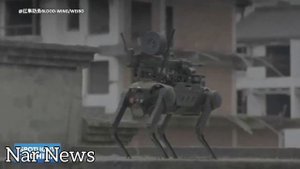 Китай показал, как боевая робособака с пулемётом на спине десантируется с дрона