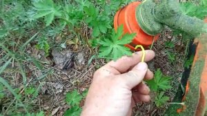 триммер энергопром.mp4