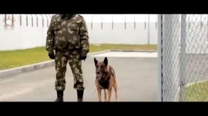 История Пограничных войск России