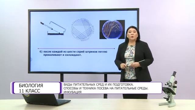 Биология. 11 класс. Виды питательных сред и их подготовка смотреть онлайн