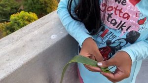 coconut leaf whistle/How to make whistle/flute with coconut leaf/Kids activity/art and craft for ki