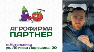 Посев перца сухими семенами