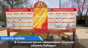 В Солнечногорске официально открыли «Аллею Победы»