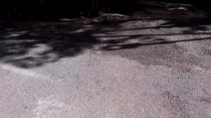 Желтый дождевик