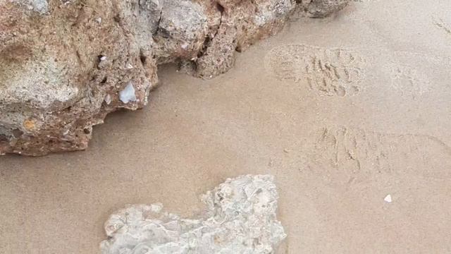 Послания планеты Земля смотреть онлайн