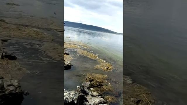 Ловим хариуса на Ангаре с берега смотреть онлайн