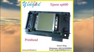 Original PrintHead XP600 for EPSON XP600 Printhead