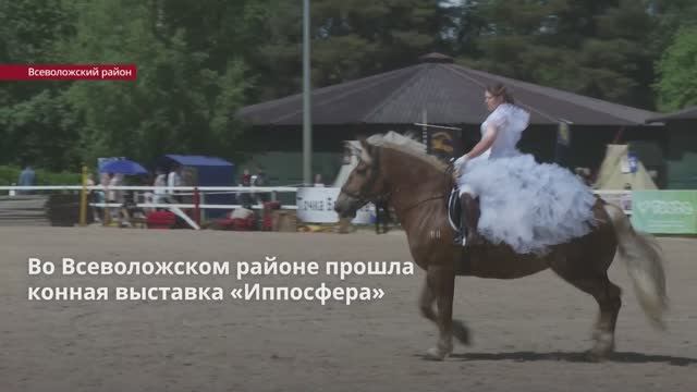 Во Всеволожском районе прошла конная выставка «Иппосфера»