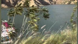 Khor Fakkan||Хор-Факкан||Al Rafisah Dam#uae #sharjah #dubai #travel #khorfakhan