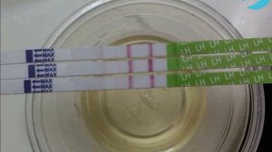 Ovulyatsiya testi / Овуляция тести