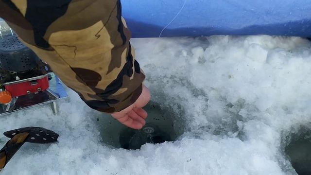 Рыбалка в Свердловской области. Макариха.9.02.2020.ПОДВОДНАЯ КАМЕРА для РЫБАЛКИ. Пугает ли Рыбу????