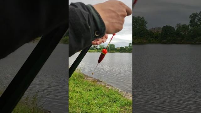 Как распутать леску на рыбалке